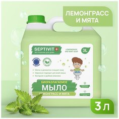 Жидкое мыло для рук SEPTIVIT Premium / Мыло туалетное жидкое Септивит / Гипоаллергенное, детское мыло / Лемонграсс и мята, 3 литра (3000 мл