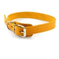 012555 Ошейник 25*55 одинарный прост. Зоомастер
