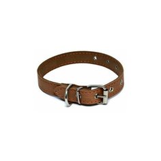Каскад ошейник кожаный, для щенков 39-51 см 25 мм