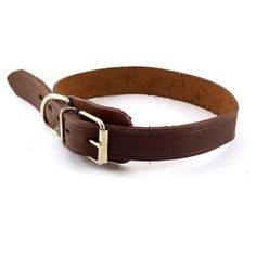 012550 Ошейник 25*50 одинарный прост. Зоомастер