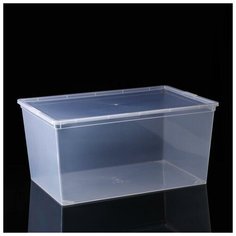 Контейнер для хранения 45 л "Евро", цвет прозрачный 5374065 Алеана