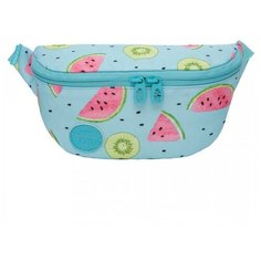 Поясная сумка с одним отделением и защищенным карманом на задней стенке PS-022-191/1 Grizzly