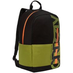 Стильный городской рюкзак для прогулок: надежный, легкий, практичный RQ-210-1/1 Grizzly