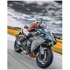 Какаду картина по номерам Мотоциклист (KA00236), 50 х 40 см Kakadu