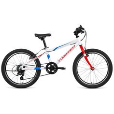 Велосипед Forward Rise 20 2.0 (2021) (10.5)
