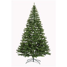 Сосна крымская 230 см. Елка от белки