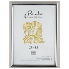 Рамка пластик 25х35см, ZEBRA, 513 серебристый Зебра