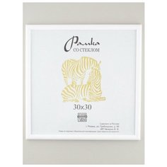Рамка пластик 30х30, ZEBRA, 500 Зебра