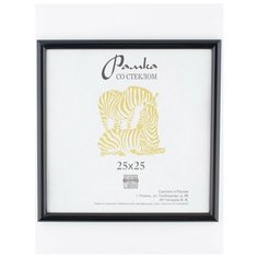Рамка пластик 25Х25, ZEBRA, 508 Зебра