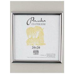 Рамка пластик 20Х20, ZEBRA, 513 Зебра