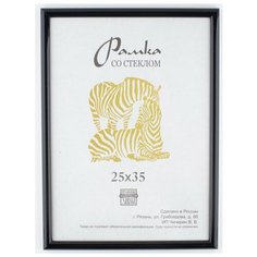 Рамка пластик 25х35см, ZEBRA, 508 чернильный Зебра