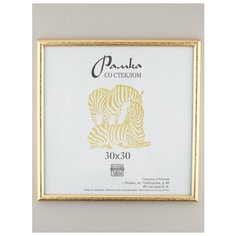 Рамка пластик 30х30, ZEBRA, 509 Зебра