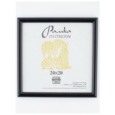 Рамка пластик 20Х20, ZEBRA, 508 Зебра