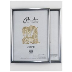 Рамка пластиковая 21х30, 2шт., Зебра, 513 серебристый