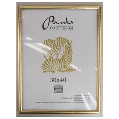 Рамка пластиковая 30х40, Зебра, 509 пудровый, светло-золотистый