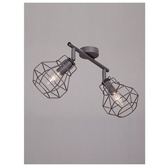 Спот V4883-2/2PL (Vitaluce)