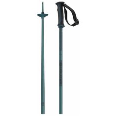 Горнолыжные палки Salomon Arctic 2020-2021, 130, blue