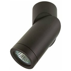 Спот Lightstar Illumo F 051017