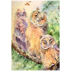 Пазл 500 элемент. Фрея Трио совят PZL-500/14