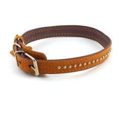 132555 Ошейник 25*55 подвернутый, с фурнитурой Зоомастер