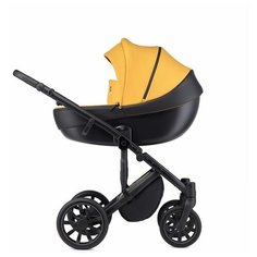 Коляска 2 в 1 Anex (Анекс) m/type Dune Mt-01Q