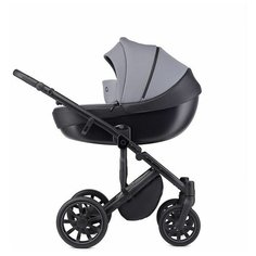 Коляска 2 в 1 Anex (Анекс) m/type Iron Mt-06Q