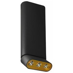 Потолочная люстра Lumien Hall Фергус 8005/3CL-BK-GD Люмьен Холл