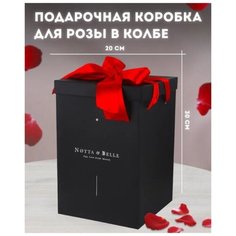 Подарочная коробка для розы в колбе - Notta & Belle