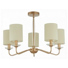 Люстра на штанге Evoluce