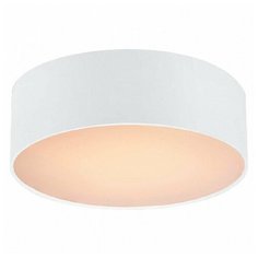 Накладной светильник Favourite