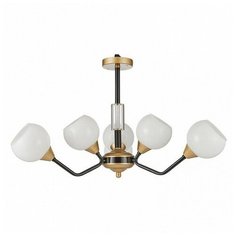 Подвесная люстра Favourite
