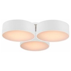 Потолочная люстра Favourite