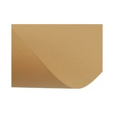 Бумага для пастели Mi-Teintes 160г/м.кв 50*65см №374, пеньковый,10л Canson