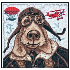 Набор для вышивания Палитра 05.004 Авиатор