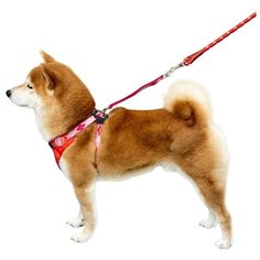 Набор Japan Premium Pet Шлейка с поводком для фиксации в автомобиле с защитной функцией сдавливания трахеи и перекручивания поводка. Размер М. Красный.