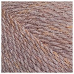 Пряжа Пехорка Радужный стиль цв.1038 мулине бежевый/листопад