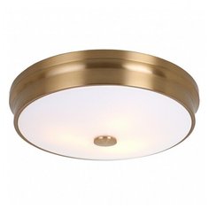 Накладной светильник Favourite