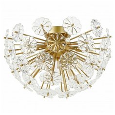 Потолочная люстра Favourite