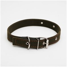 Ошейник брезентовый двухслойный, 62 х 3 см, ОШ 30-55 см, тёмно-зелёный Пижон