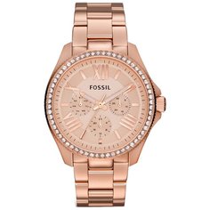 Наручные часы FOSSIL AM4483