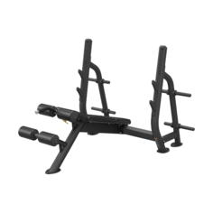 Олимпийская скамья с отрицательным углом наклона Spirit SP-4211
