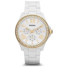 Fossil AM4493
