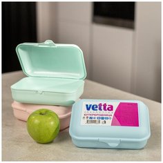 Контейнер/Бутербродница/для бутербродов/для фруктов/для печенья/в школу/190х135х65мм, розовый Vetta