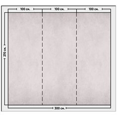 Фотообои / флизелиновые обои Компаньоны к обоям 3D Пальмовые листья 3 x 2,7 м Photostena