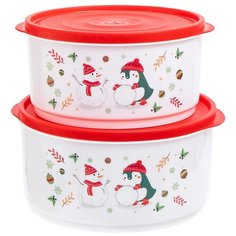 Набор контейнеров Berossi (2 шт)