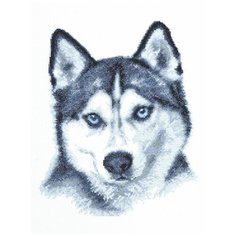 Набор для вышивания крестиком Палитра "Взгляд хаски", 21x27см