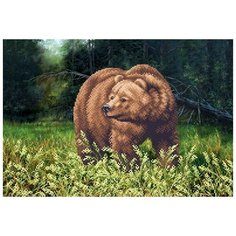 Набор для вышивания бисером Магия канвы Медведь, 39x27см (бисер в комплект не входит!)