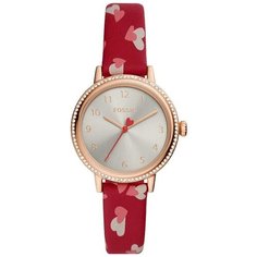 Наручные часы Fossil BQ3698