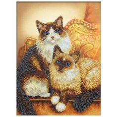 Набор для вышивания бисером Паутинка "Котики", 28x38см