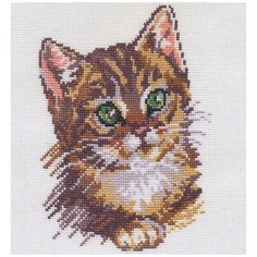 Набор для вышивания Алиса "Котенок", 14x18см (вышивка крестом)